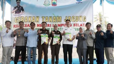 Bupati Egi Bersama Kajati Tanam Benih Jagung di Kecamatan Kalianda