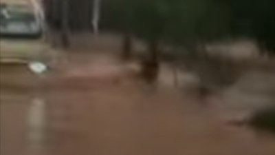 Hujan Deras Sebabkan Banjir di Tiga Kecamatan Tanggamus, Puluhan Rumah dan Lahan Pertanian Terendam
