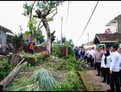 Tinjau Lokasi, Walikota Eva Berikan Bantuan Warga Terdampak Angin Puting Beliung