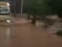 Hujan Deras Sebabkan Banjir di Tiga Kecamatan Tanggamus, Puluhan Rumah dan Lahan Pertanian Terendam