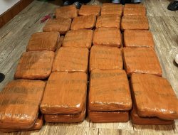 Polda Lampung Gagalkan Penyelundupan 40 Kg Ganja, Kurir Asal Padang Ditangkap