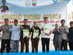 Sinergi Lintas Sektor: Bupati dan Kajati Lampung Tanam Jagung Perdana untuk Ketahanan Pangan Nasional