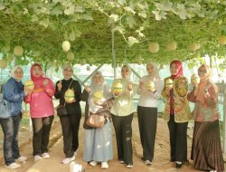 Ketua TP. PKK Provinsi Lampung Pimpin Panen di Agropark, Perkuat Peran PKK dalam Ekonomi Keluarga