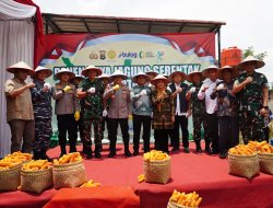 Panen Raya Serentak, Pangdam XXI/Radin Inten Hadir Bersama Polda Lampung