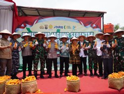 Perkuat Ketahanan Pangan Nasional, Danrem 043/Gatam Hadiri Panen Raya Serentak Kuartal III Polda Lampung