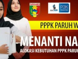 Alokasi Penetapan PPPK Paruh Waktu Pemkab Tanggamus Belum Ada Kejelasan