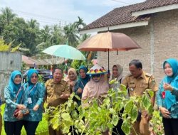 Ketua TP-PKK Tanggamus Tinjau Kesiapan Acara Desa Tapis di Semaka