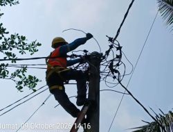 PLN Gerak Cepat Rapikan Kabel Membahayakan di Kelumbayan, GM PLN Lampung Apresiasi Informasi GBN