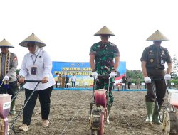 Menuju Ketahanan Pangan Nasional, Pangdam XXI/Radin Inten Dampingi Menko Bidang Pangan RI Tanam Jagung di Lampung Selatan