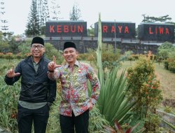 Desaku Maju Jadi Motor Penggerak Ekonomi Desa, Tanjung Raya Lampung Barat Tampil sebagai Model Pertanian Produktif