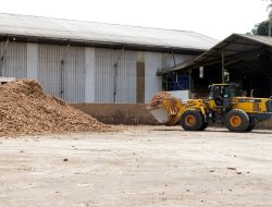 Sinergi Petani dan Industri, Pemprov Lampung Apresiasi Perusahaan Pengolah Singkong