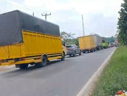 Kecelakaan Maut di Jalintim Mesuji, Satu Orang Tewas, Arus Lalu Lintas Sempat Lumpuh