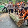 Aksi Cepat Pulihkan Akses Warga Desa Tanjung Harapan Pascacuaca Ekstrem