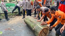 Aksi Cepat Pulihkan Akses Warga Desa Tanjung Harapan Pascacuaca Ekstrem