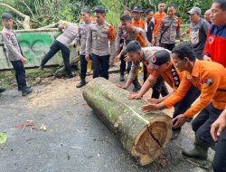 Aksi Cepat Pulihkan Akses Warga Desa Tanjung Harapan Pascacuaca Ekstrem