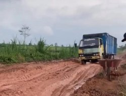 Jalan Rusak Parah di Purwotani Jati Agung, Cermin Buruknya Kinerja Pemkab dan PUPR Lampung Selatan