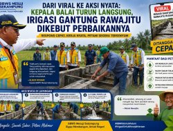 Respons Cepat Viral, Kepala Balai Tinjau dan Kebut Perbaikan Irigasi Rawajitu