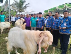 Bazar Hewan Qurban Tanggamus 2026 Dibuka, Bupati Borong 10 Kambing dari Peternak Lokal