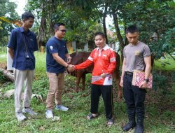 Pelindo Regional 2 Panjang Salurkan 21 Ekor Hewan Qurban pada Iduladha 1447 H