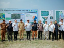 Perkuat Investasi Hijau, Gubernur Mirza Dampingi Wamen Todotua Tinjau Lokasi Bioetanol