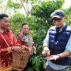 PHC Ubah Wajah Perkebunan Kopi Lampung, Gubernur Mirza Dorong Produktivitas Kopi Meningkat