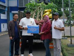 Pelindo Regional 2 Panjang Tanam 250 Bibit Pohon untuk Dukung Greenbelting dan Penyerapan Karbon