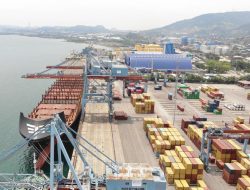PELINDO REGIONAL 2 PANJANG CATAT KINERJA OPERASIONAL POSITIF PADA SEMESTER I TAHUN 2026