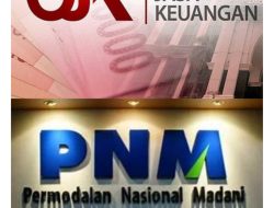Pengawasan OJK Dipertanyakan, Dugaan Penyimpangan Peruntukan PNM Mekaar Dinilai Menjerumuskan Masyarakat
