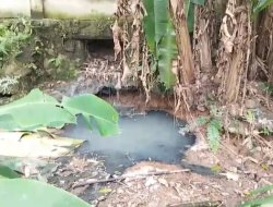 Warga Resah, Limbah Karet PT Raber Jaya di Tanjung Bintang Timbulkan Bau Menyengat dan Ganggu Kenyamanan