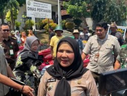 Pemkot Bandar Lampung Dorong Ketahanan Pangan Lewat Bantuan Traktor dan Bibit Hortikultura